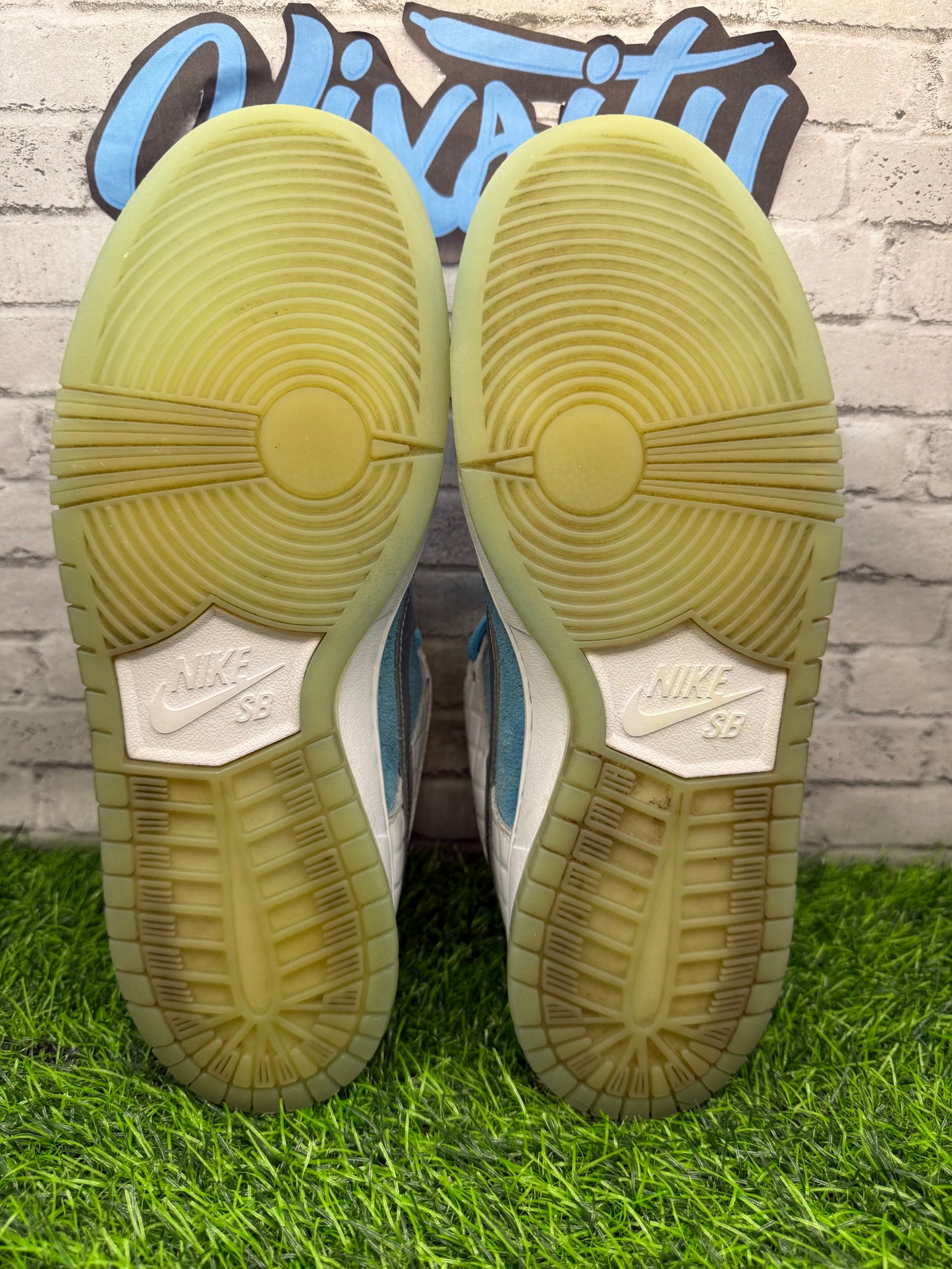 Dunk Low SB FTC Lagoon Pulse PO 8