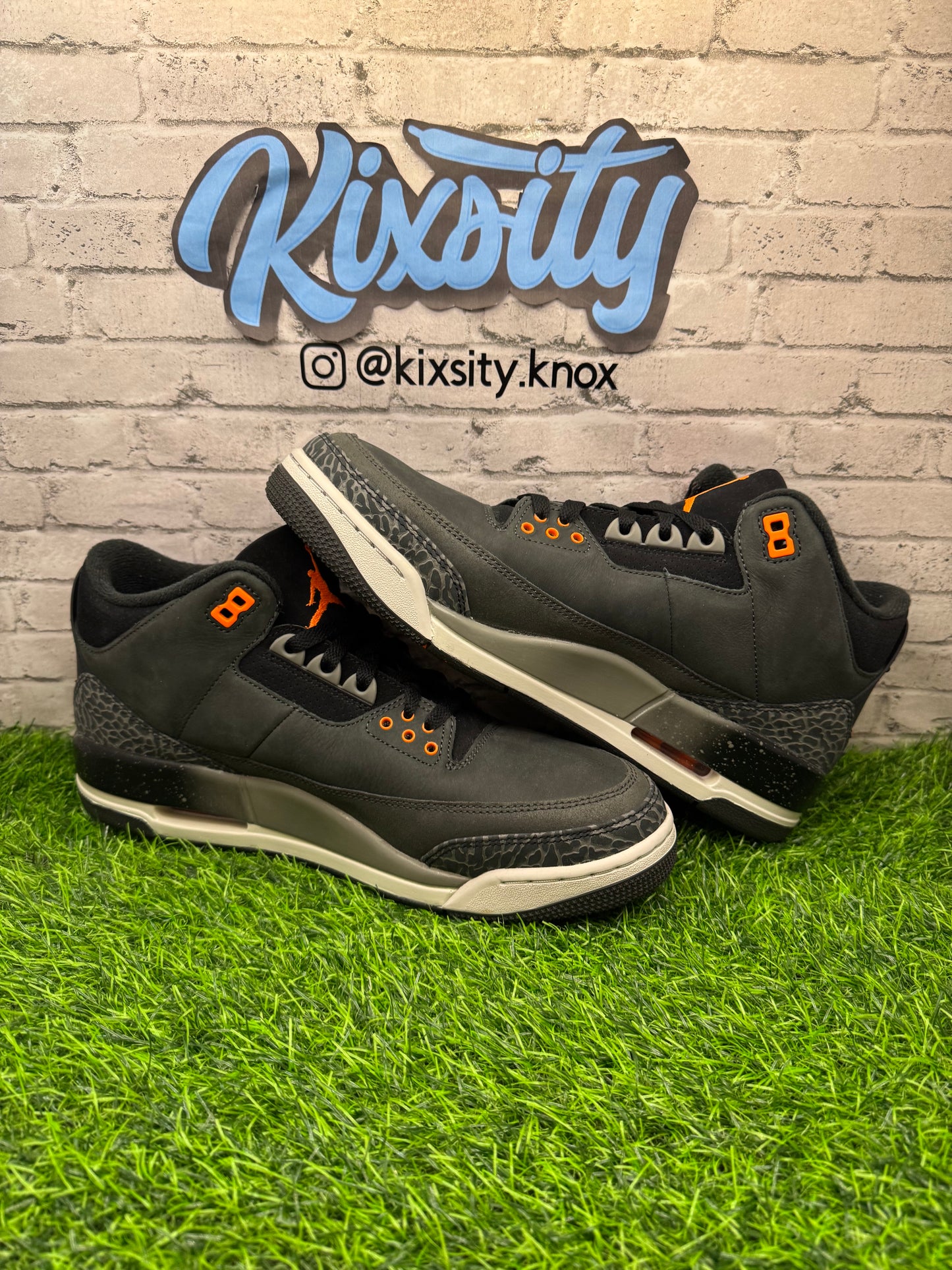 Jordan 3 Fear PO 11