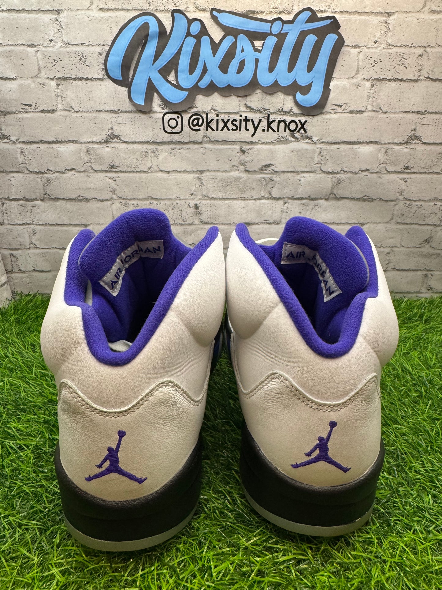 Jordan 5 Dark Concord PO 10