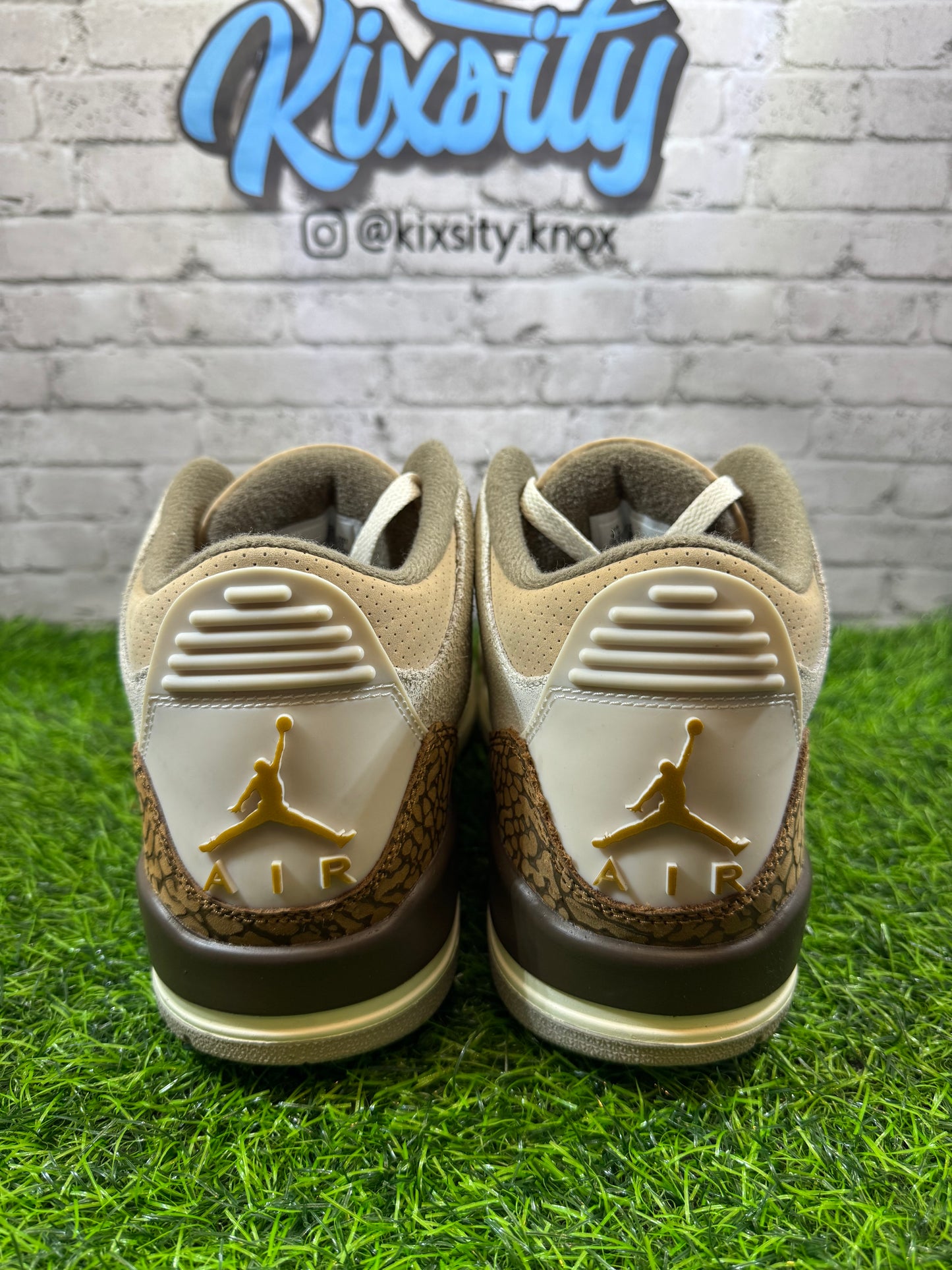 Jordan 3 Palomino PO 9.5