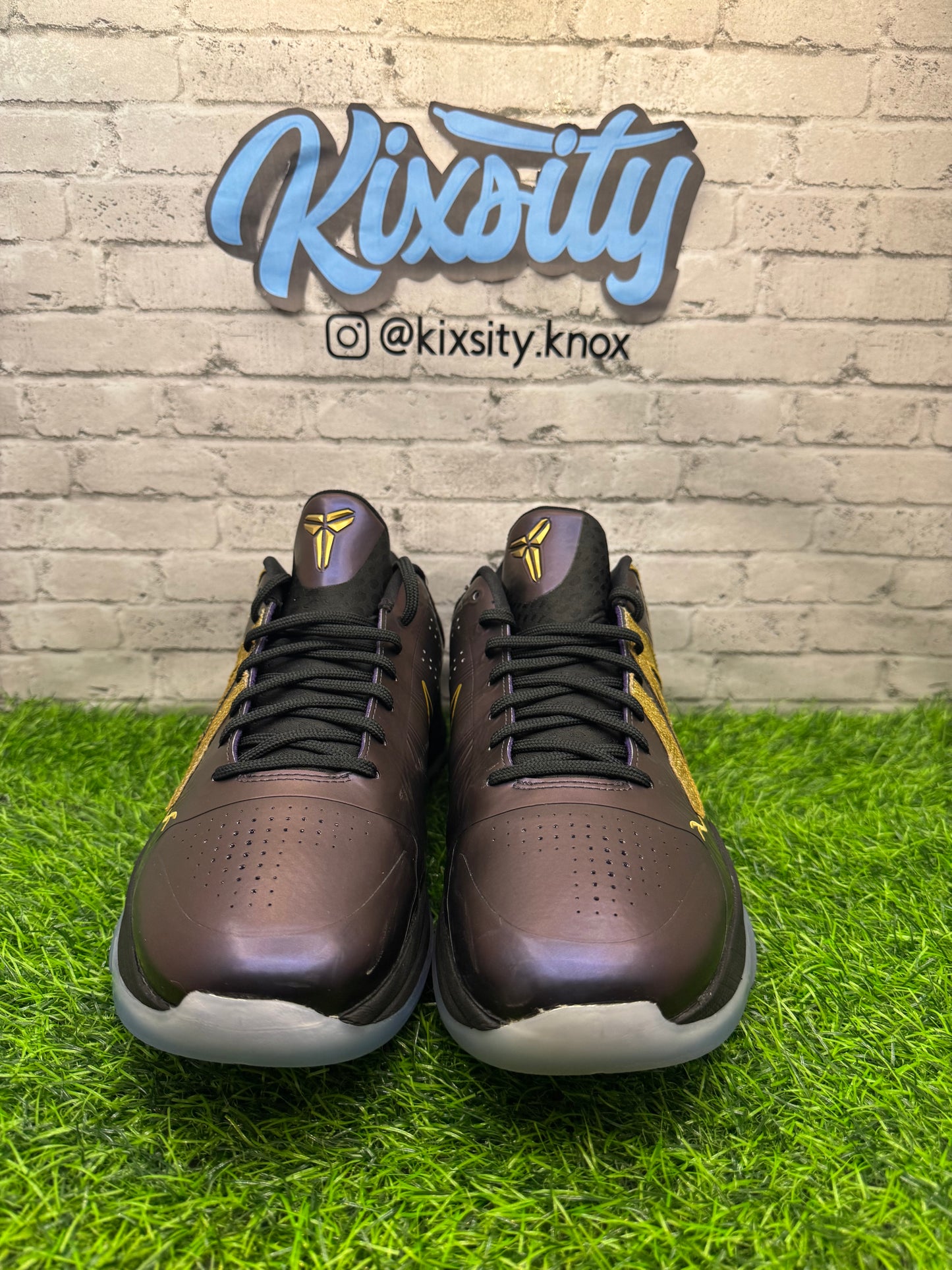 Nike Kobe 5 Protro Year Of Mamba Eggplant PO 10.5