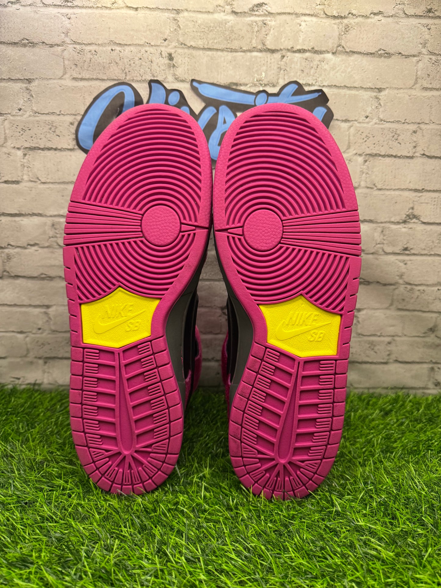 Dunk Hi SB Run The Jewels PO 9