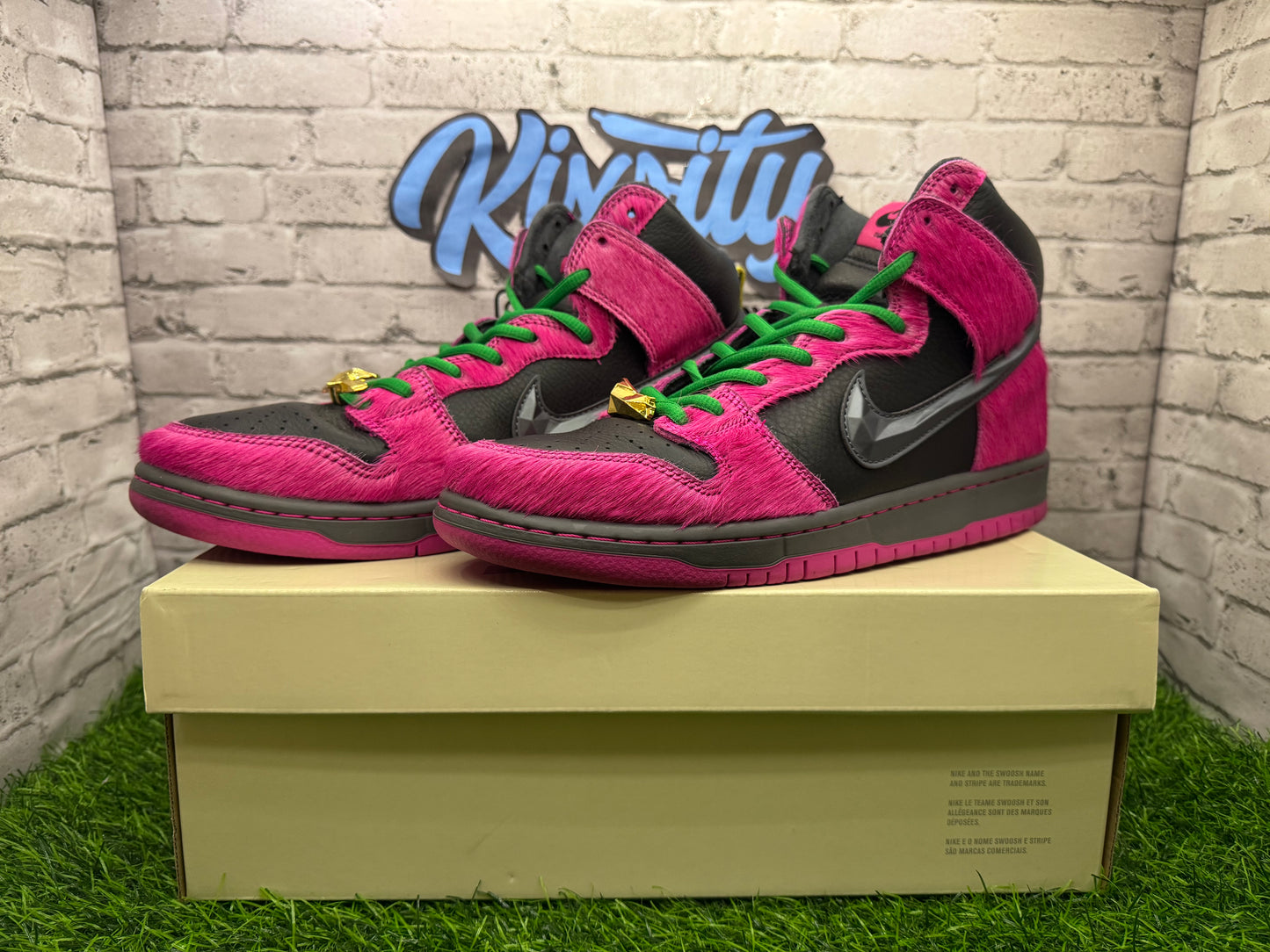 Dunk Hi SB Run The Jewels PO 9