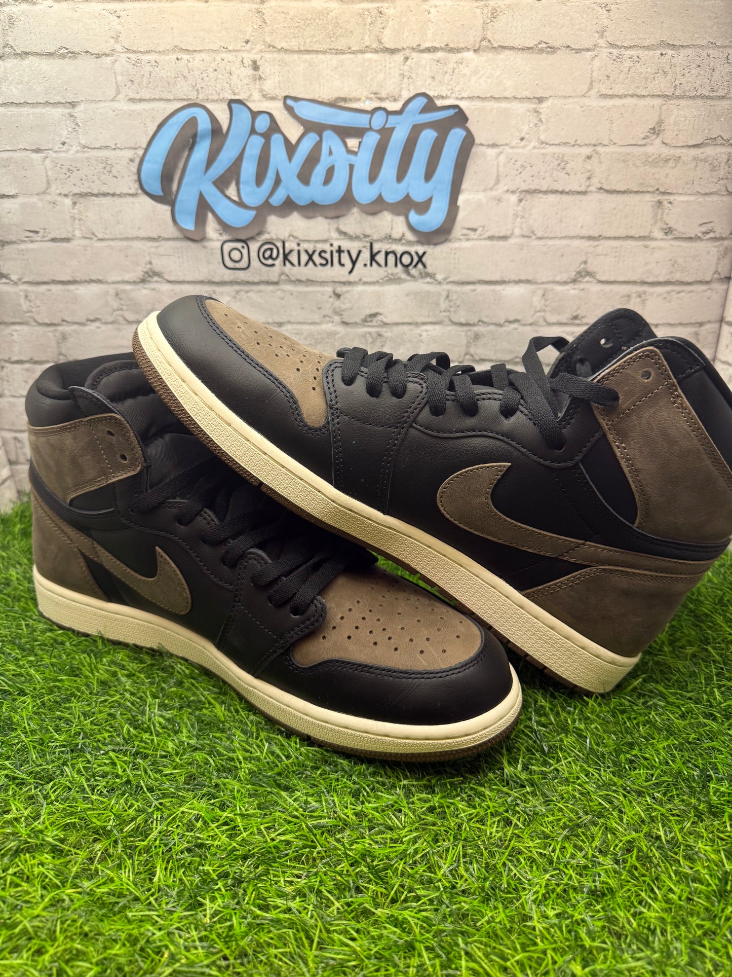 Jordan 1 High Palomino PO 14