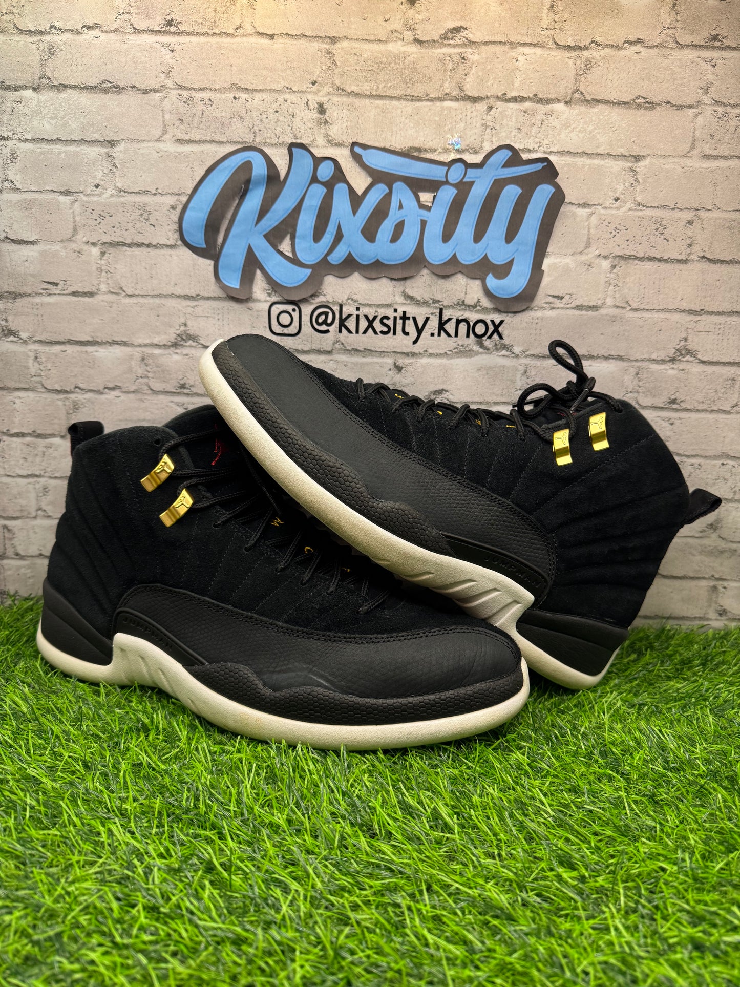 Jordan 12 Reverse Taxi PO 11