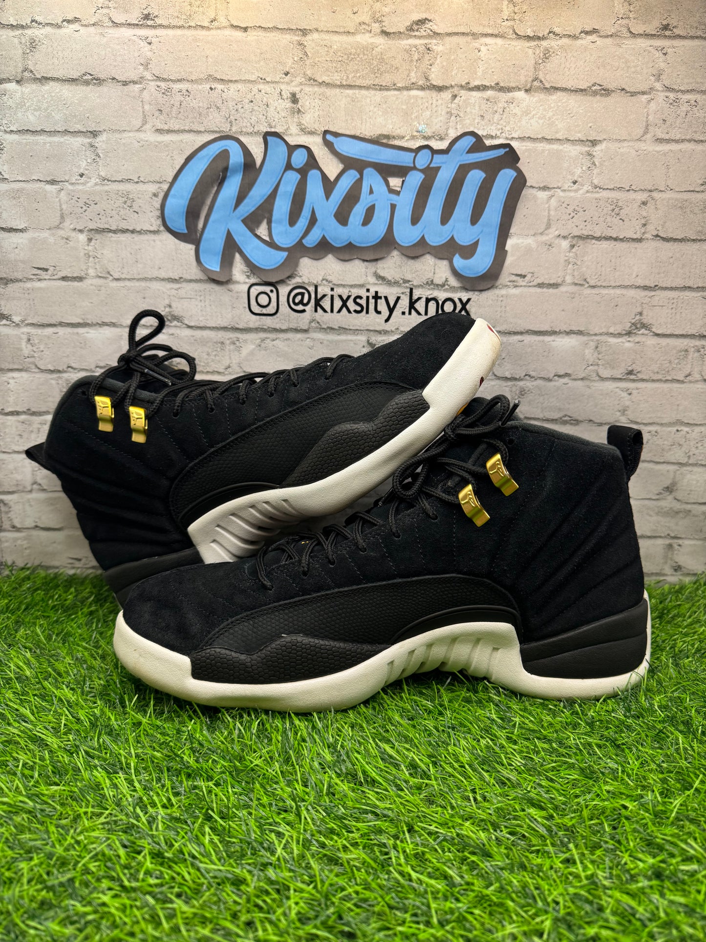 Jordan 12 Reverse Taxi PO 11
