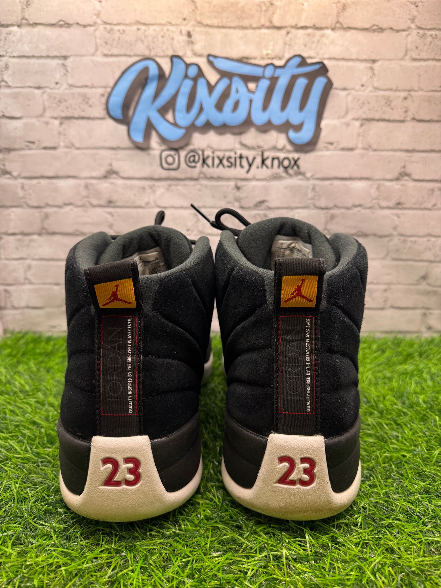 Jordan 12 Reverse Taxi PO 11