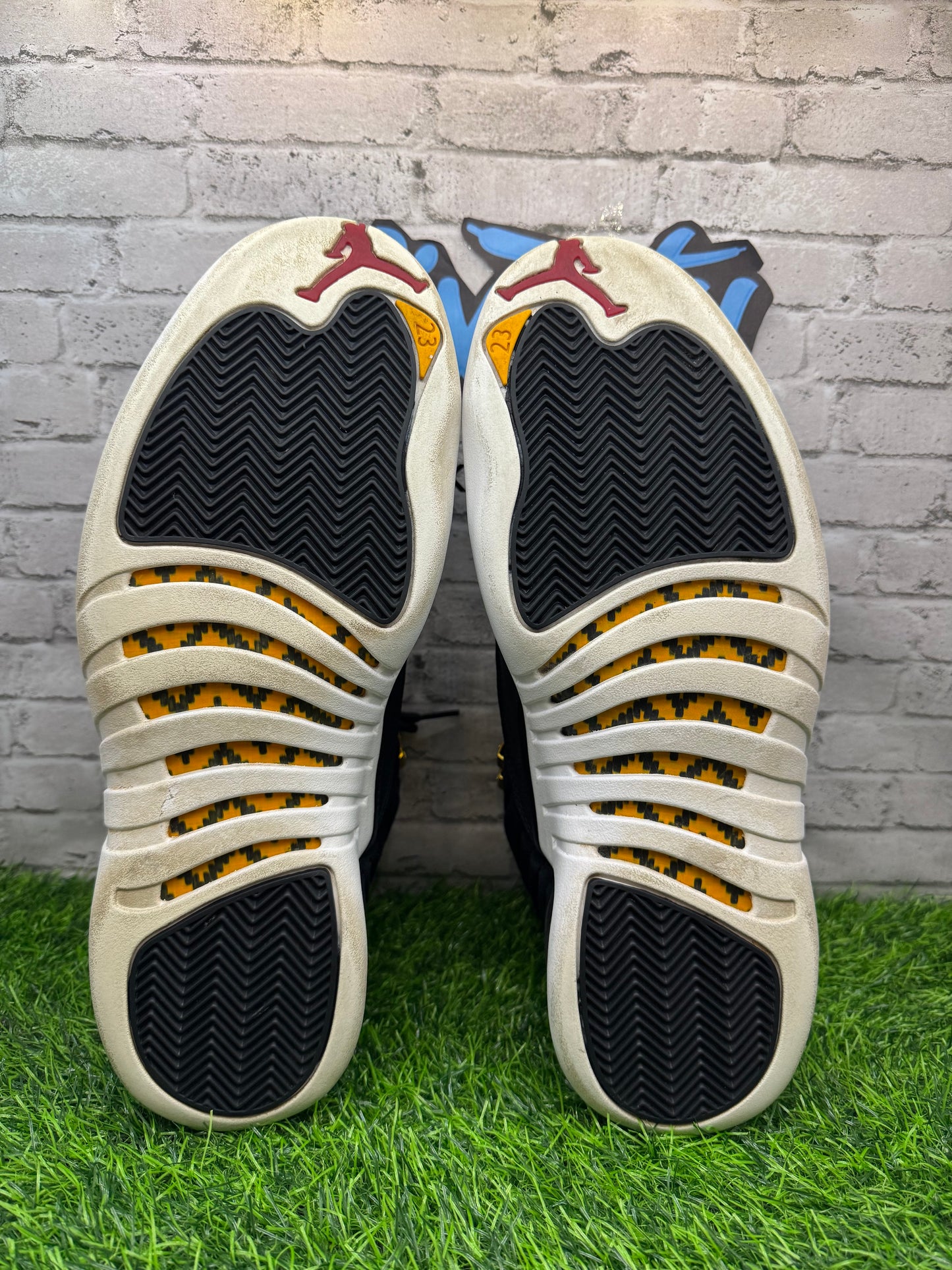 Jordan 12 Reverse Taxi PO 11