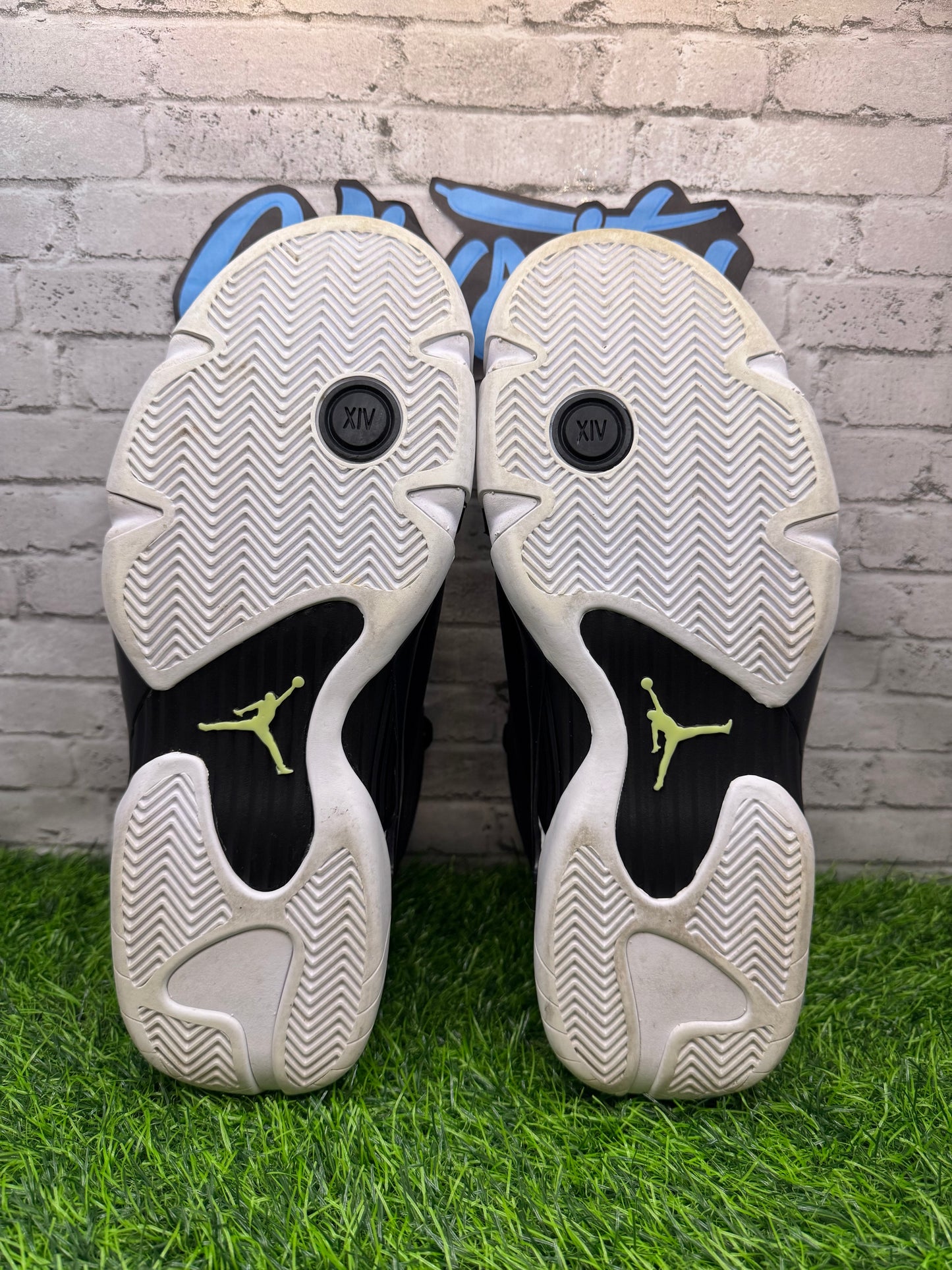 Jordan 14 Indiglo 2016 PO 11