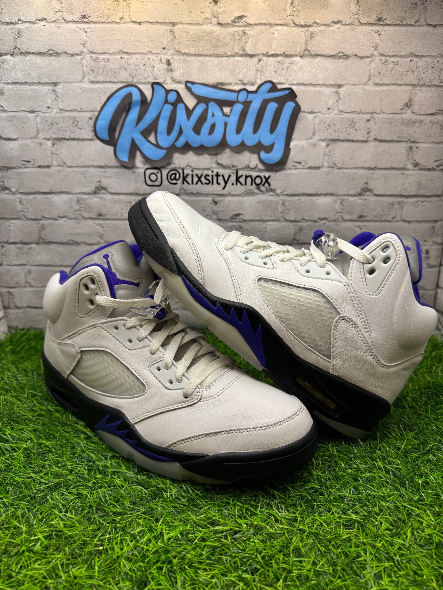 Jordan 5 Dark Concord PO 10