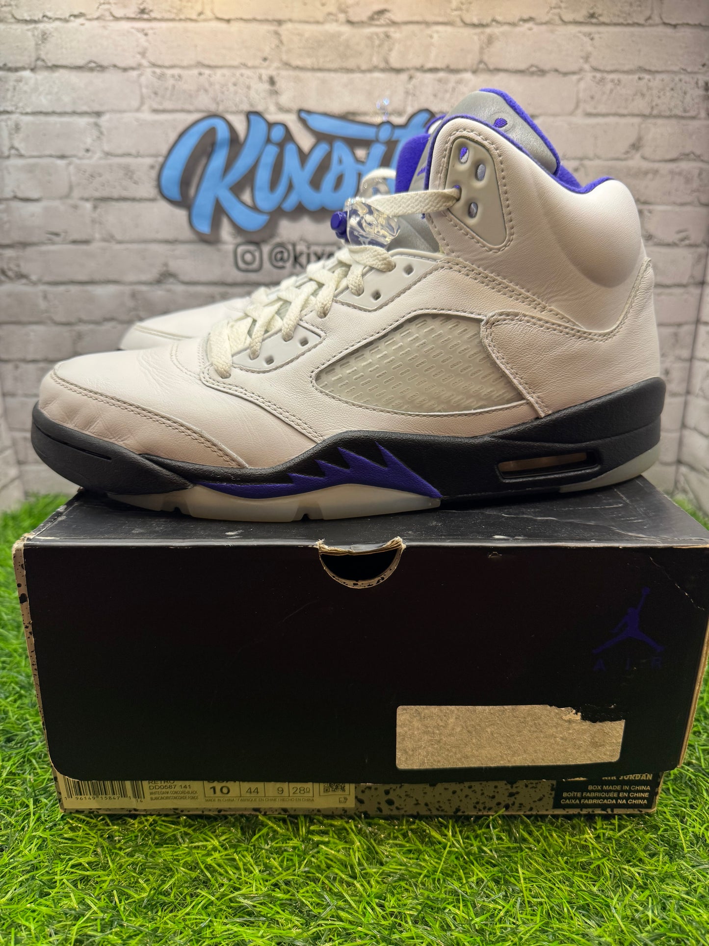 Jordan 5 Dark Concord PO 10