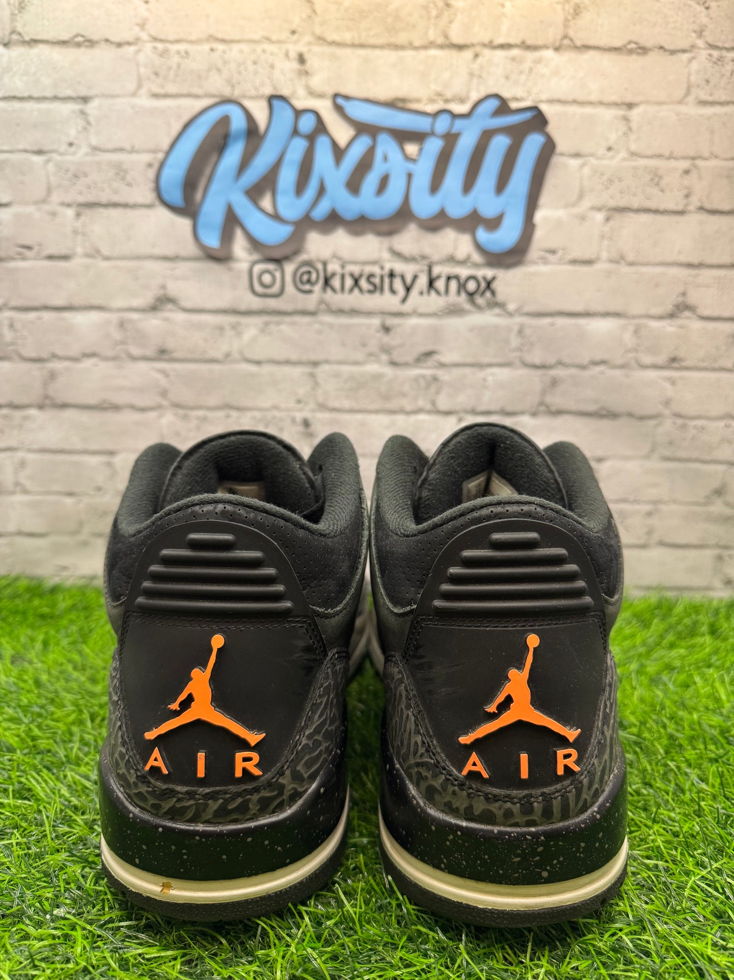 Jordan 3 Fear PO 10