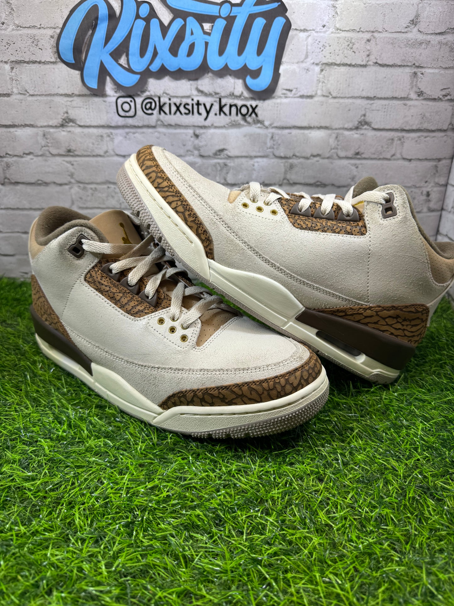 Jordan 3 Palomino PO 9.5