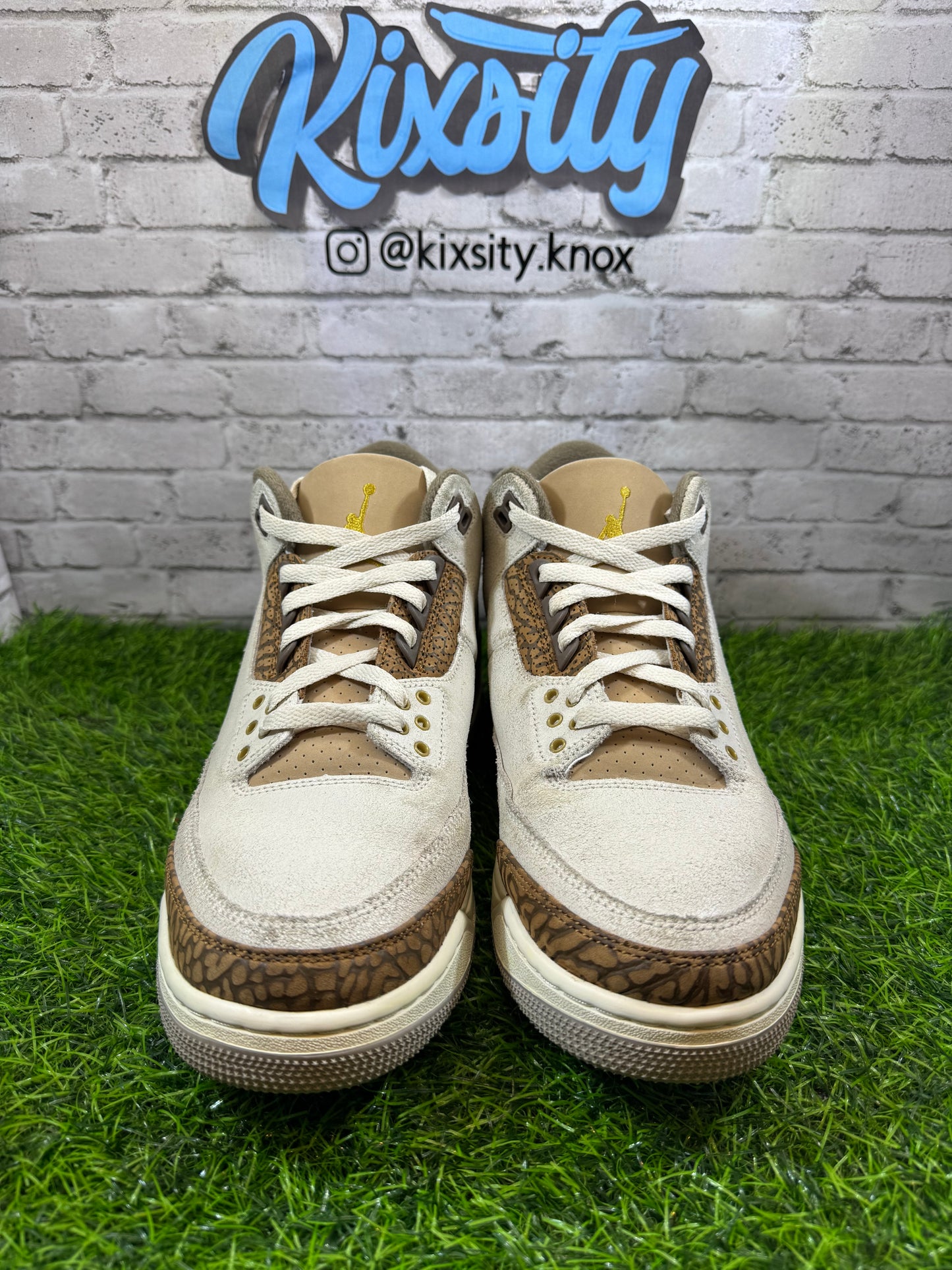 Jordan 3 Palomino PO 9.5