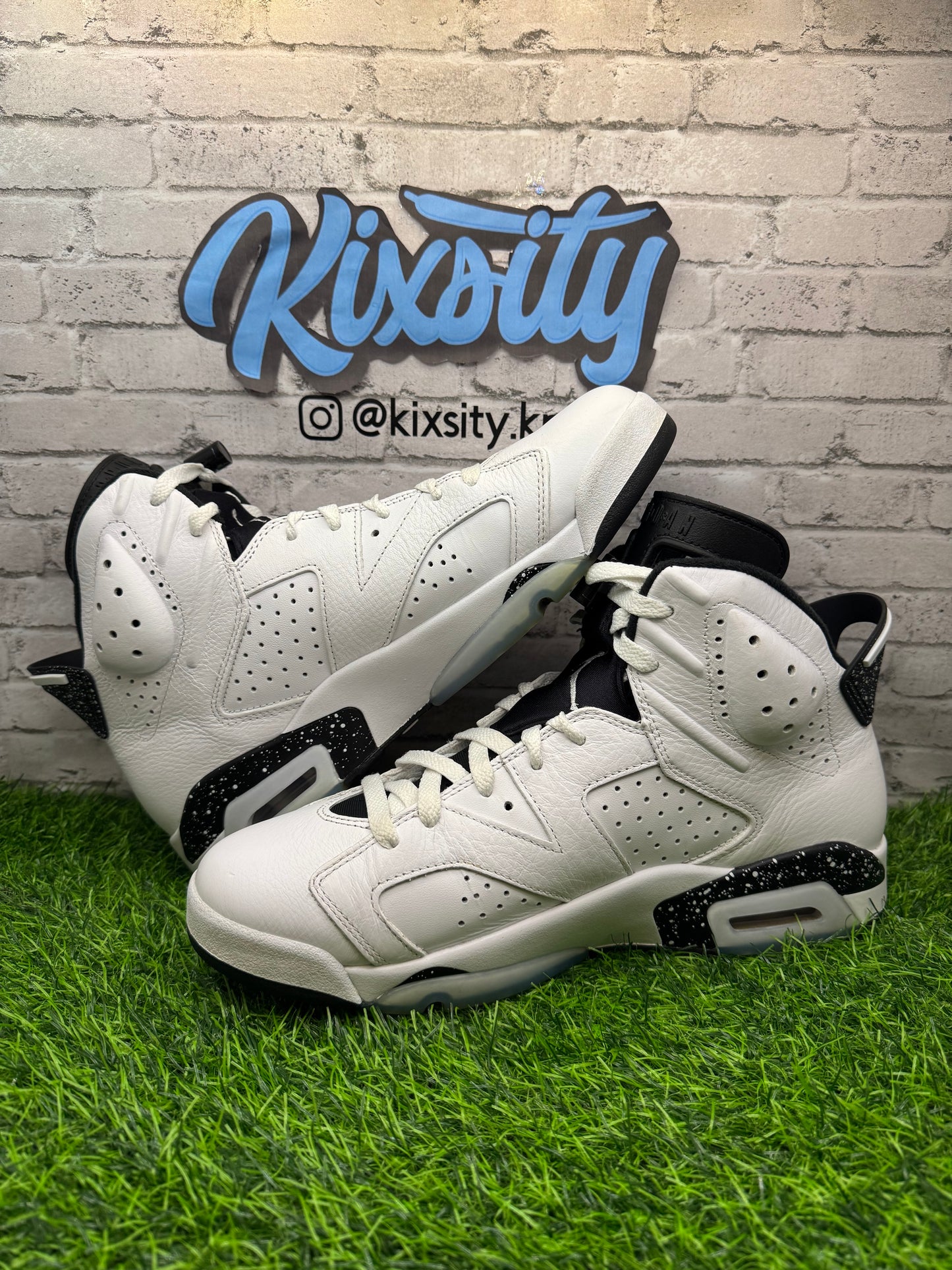 Jordan 6 Reverse Oreo PO 11