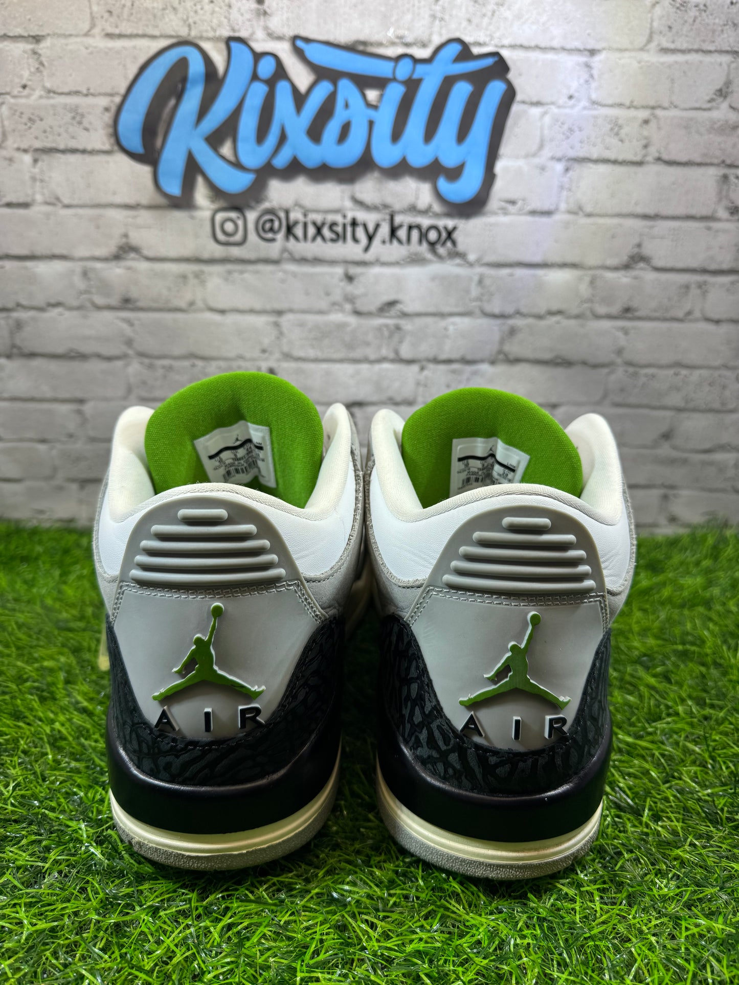 Jordan 3 Chlorophyll PO 10