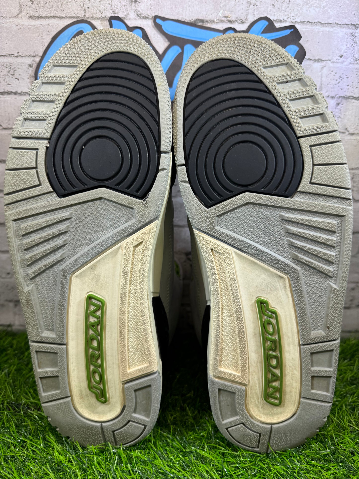 Jordan 3 Chlorophyll PO 10