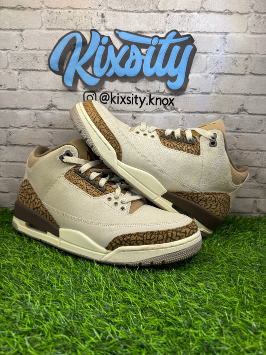 Jordan 3 Palomino PO 10.5