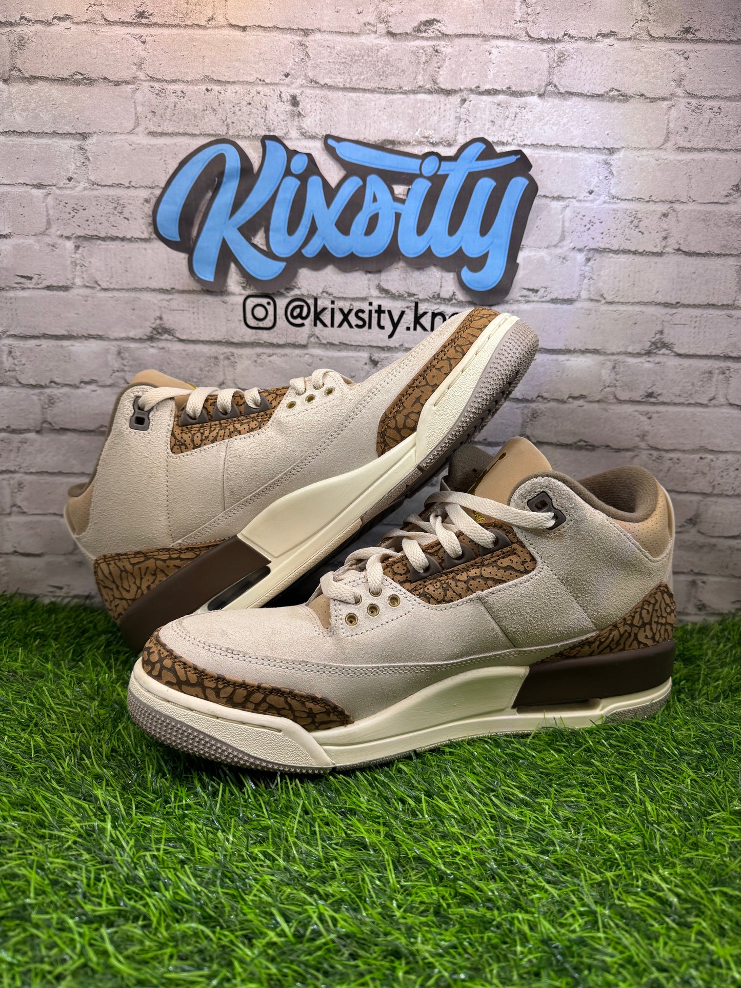 Jordan 3 Palomino PO 10.5