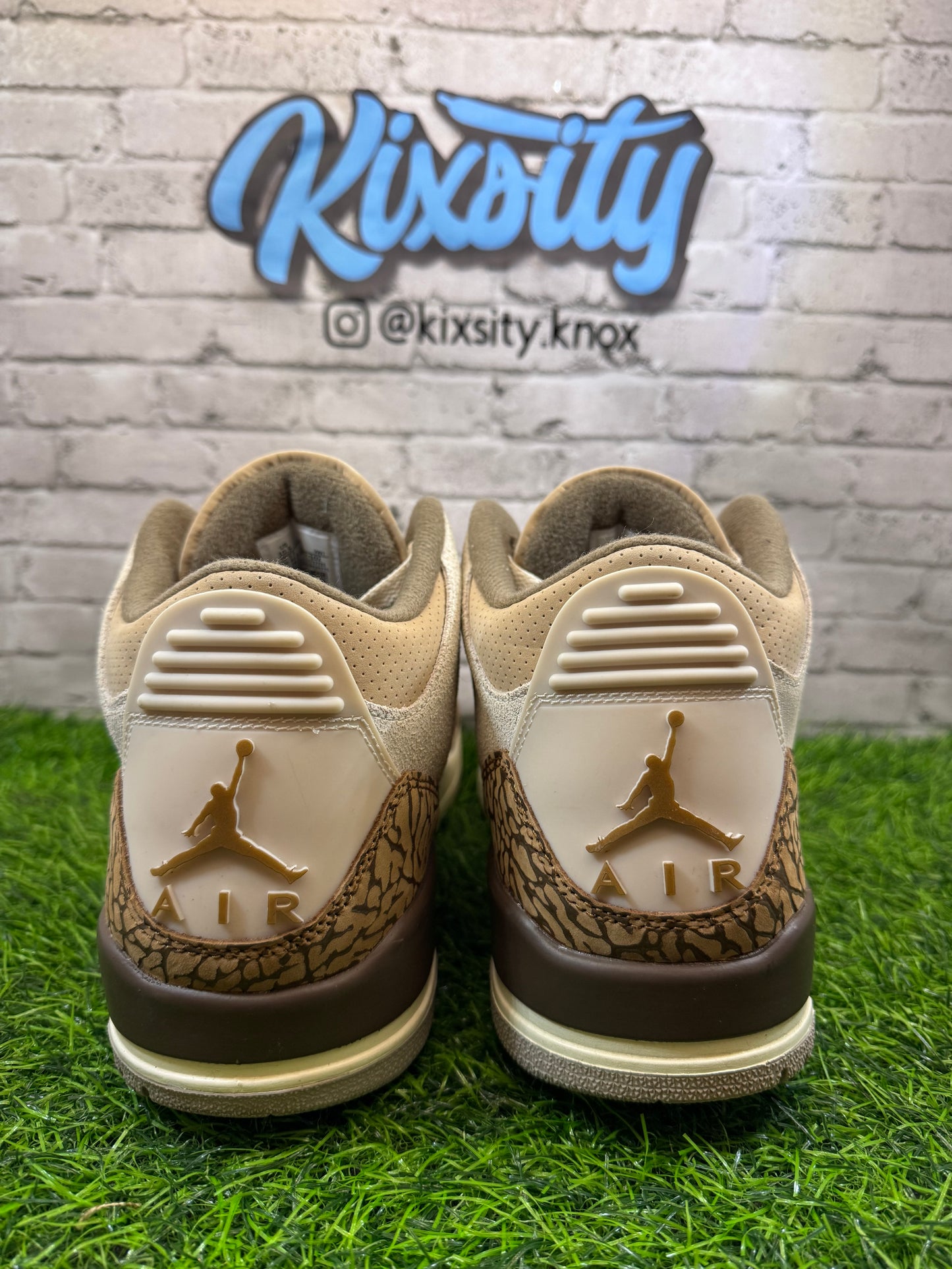 Jordan 3 Palomino PO 10.5