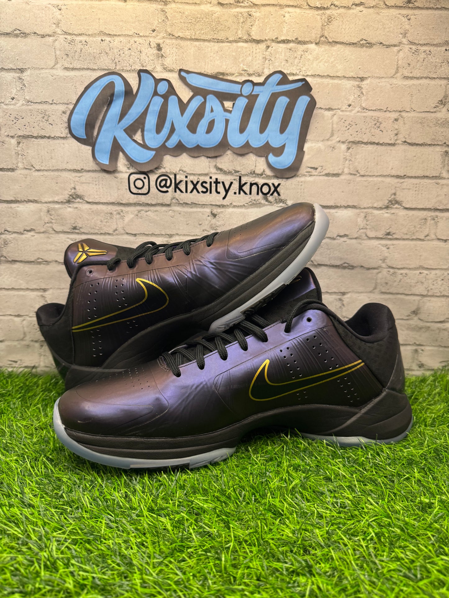 Nike Kobe 5 Protro Year Of Mamba Eggplant PO 10.5