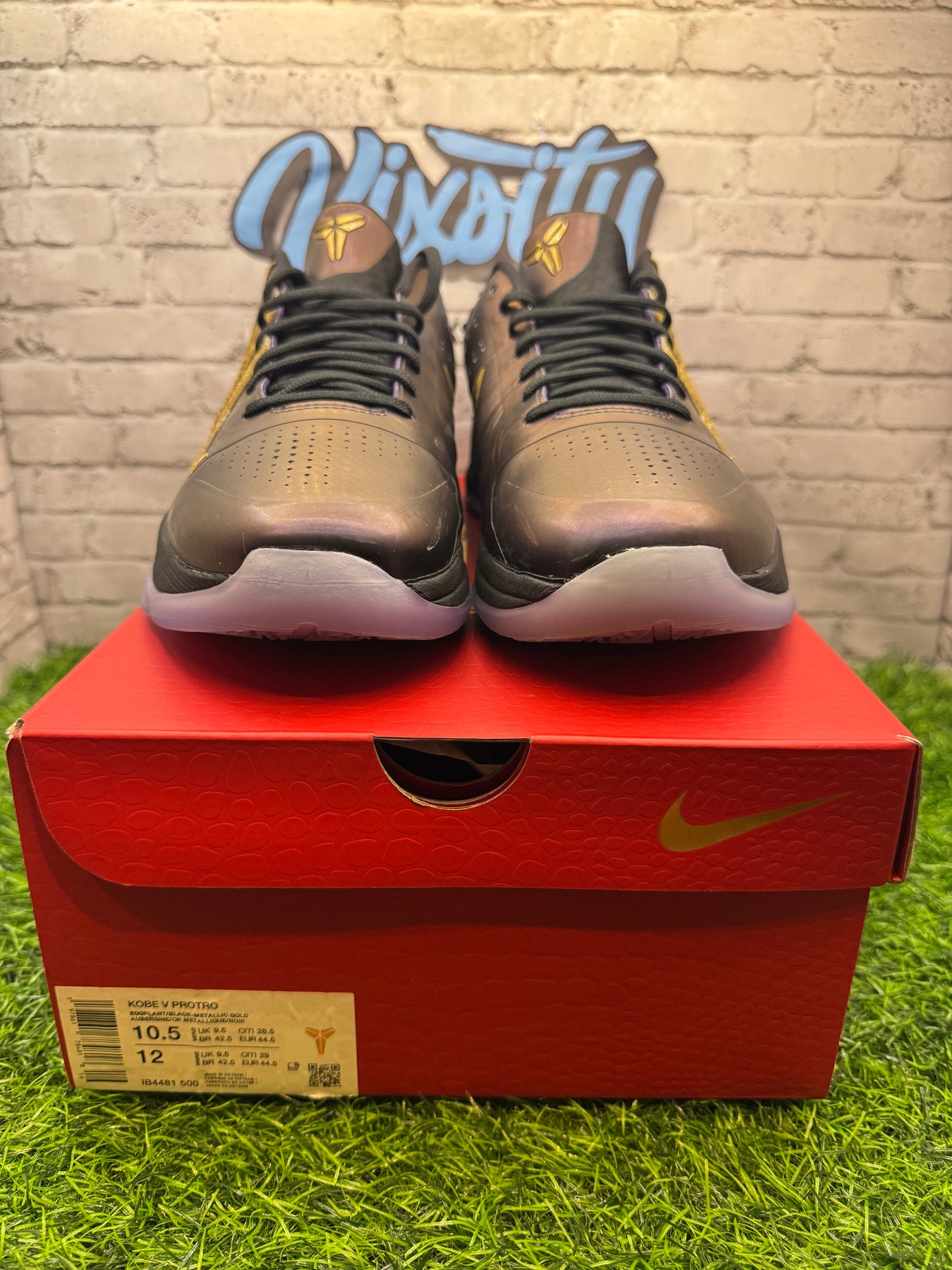 Nike Kobe 5 Protro Year Of Mamba Eggplant PO 10.5