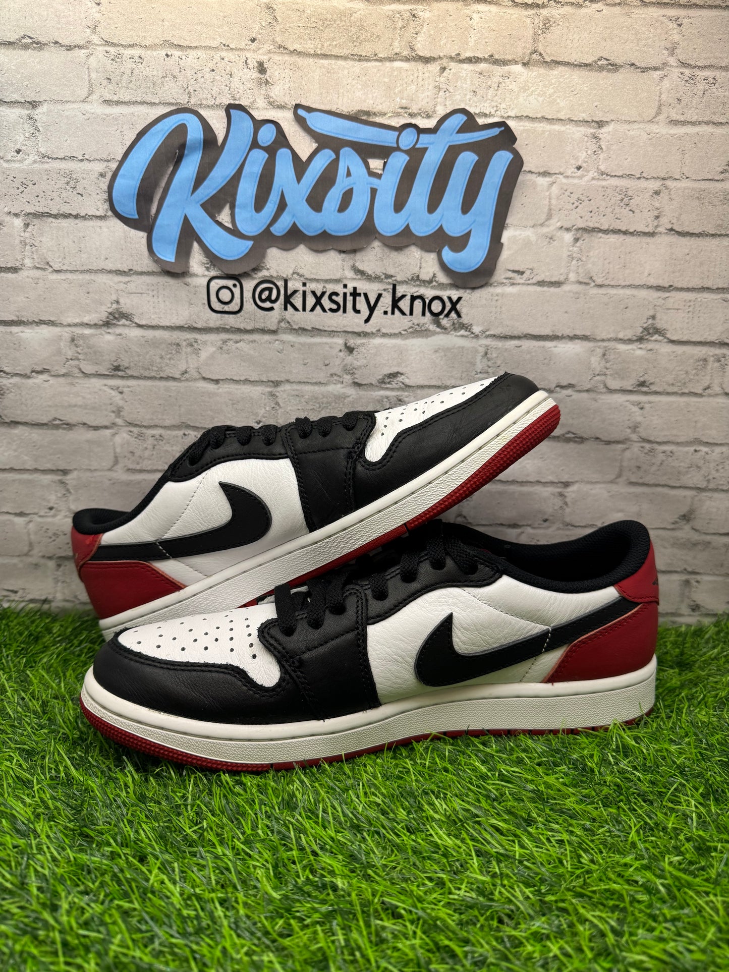 Jordan 1 Low Black Toe PO 10