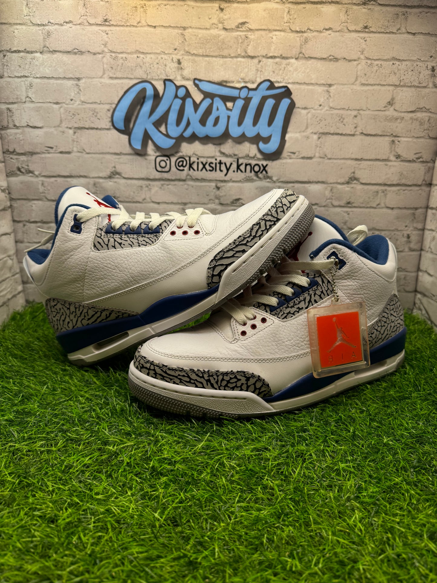 Jordan 3 True Blue (2011) PO 11