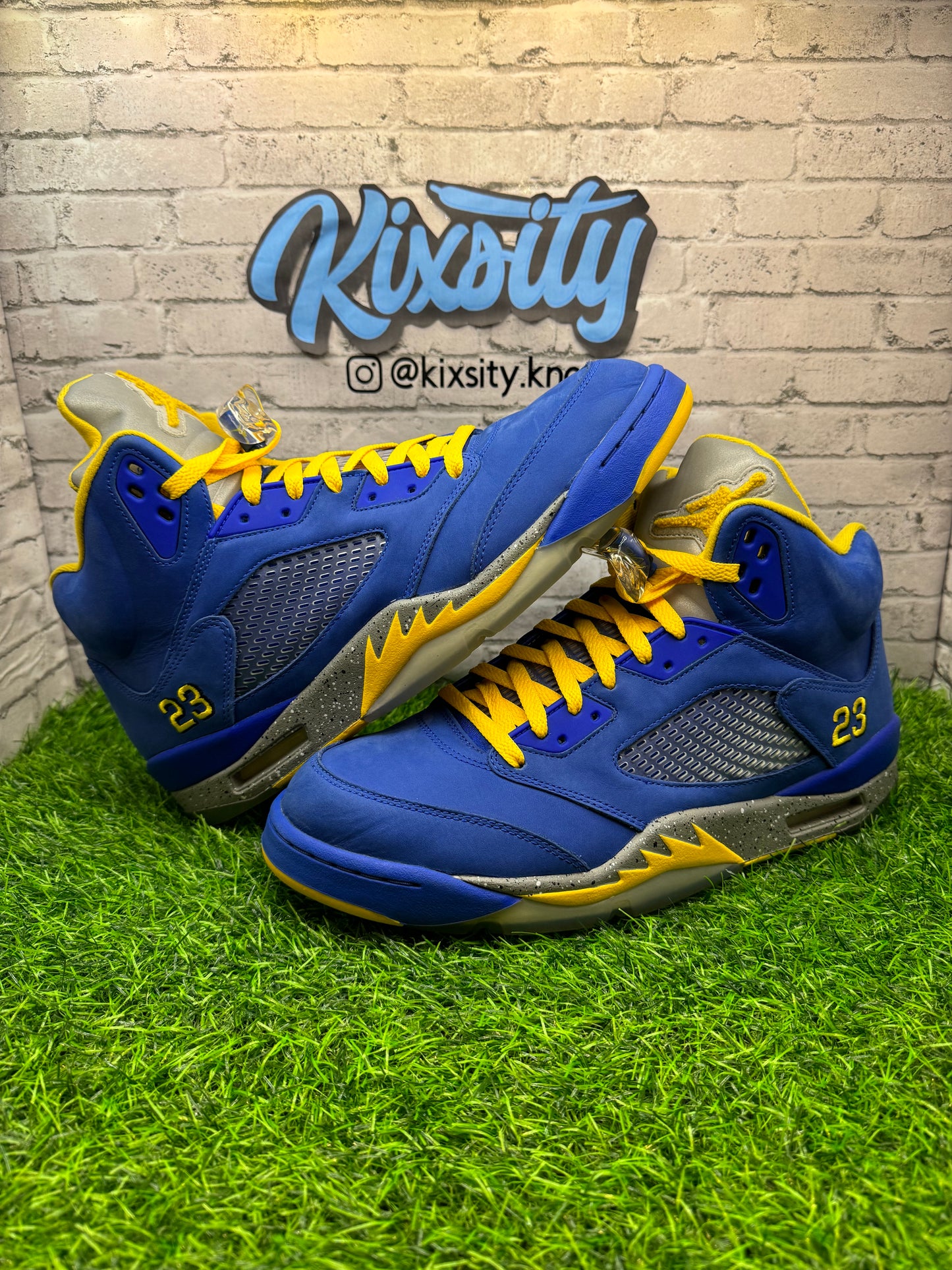 Jordan 5 Reverse Laney PO 13