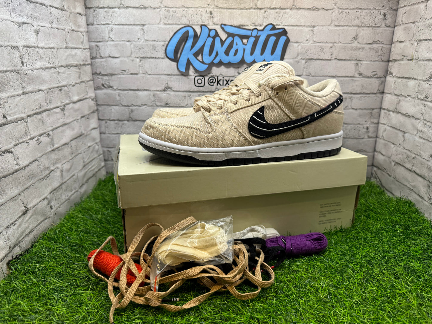 Dunk Low SB Albino & Preto PO 10