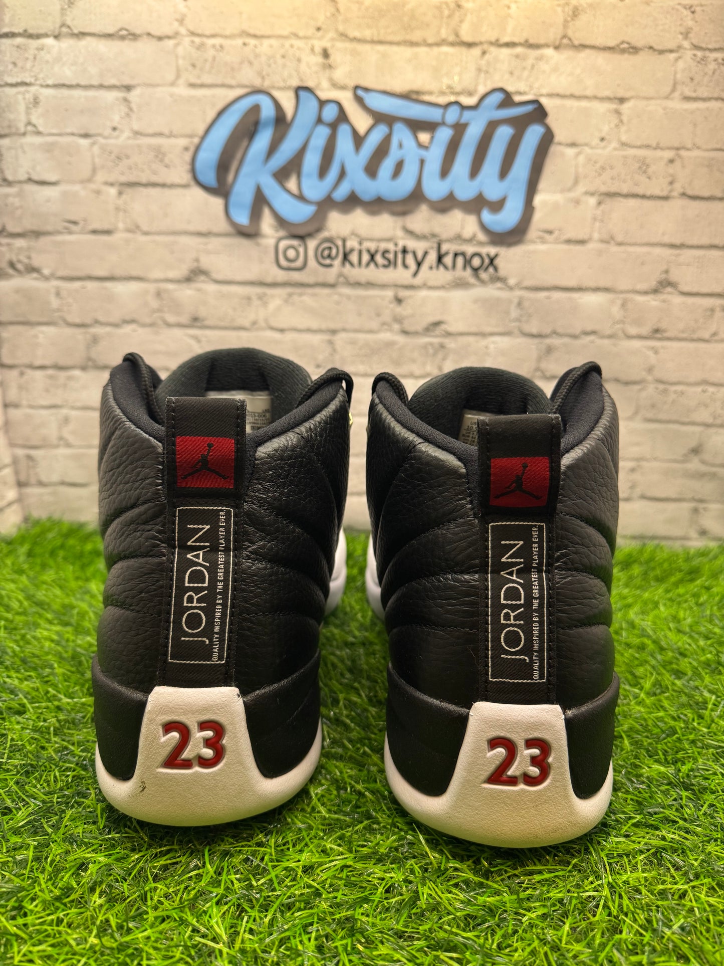 Jordan 12 Playoffs PO 10.5