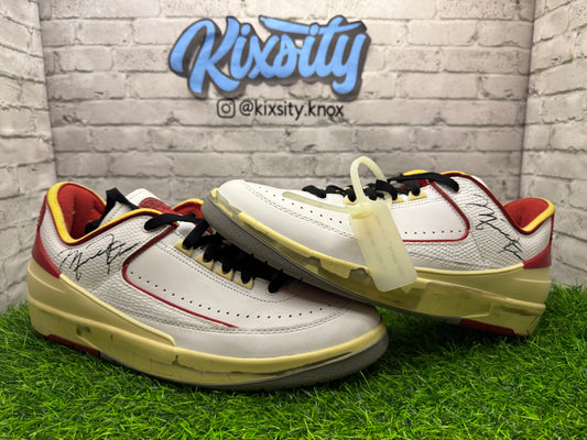 Jordan 2 Off-White Chicago PO 11