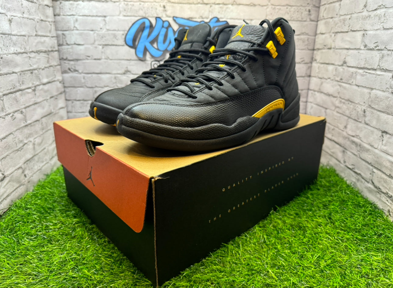 Jordan 12 Black Taxi PO 11