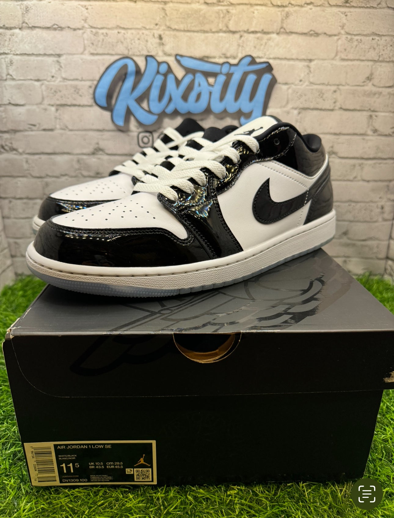 Jordan 1 Low Concord PO 11.5