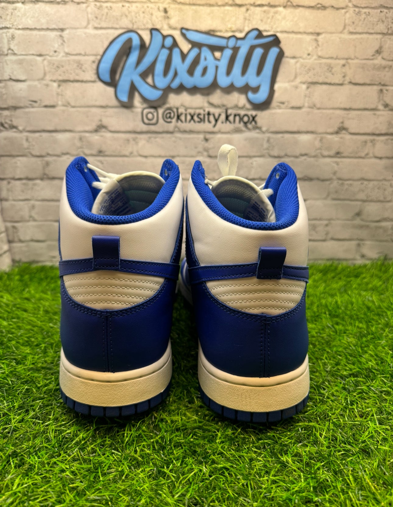 Dunk Hi Game Royal PO 12