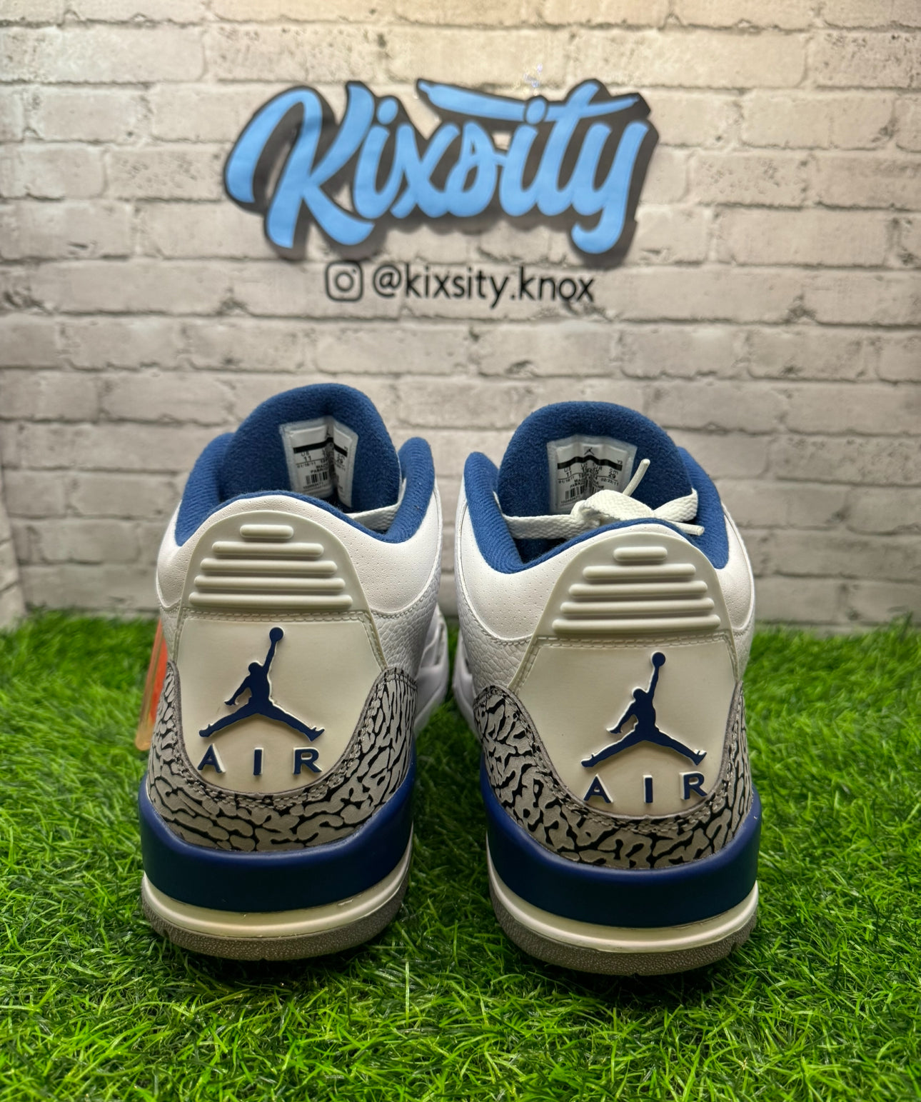 Jordan 3 True Blue (2011) PO 11