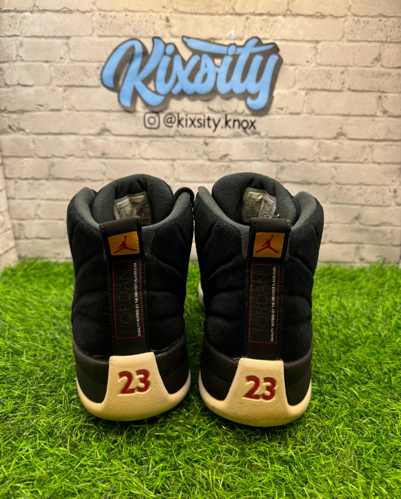 Jordan 12 Reverse Taxi PO 11