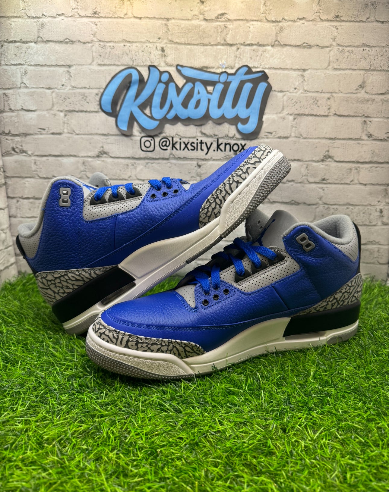 Jordan 3 Varsity Royal PO 11