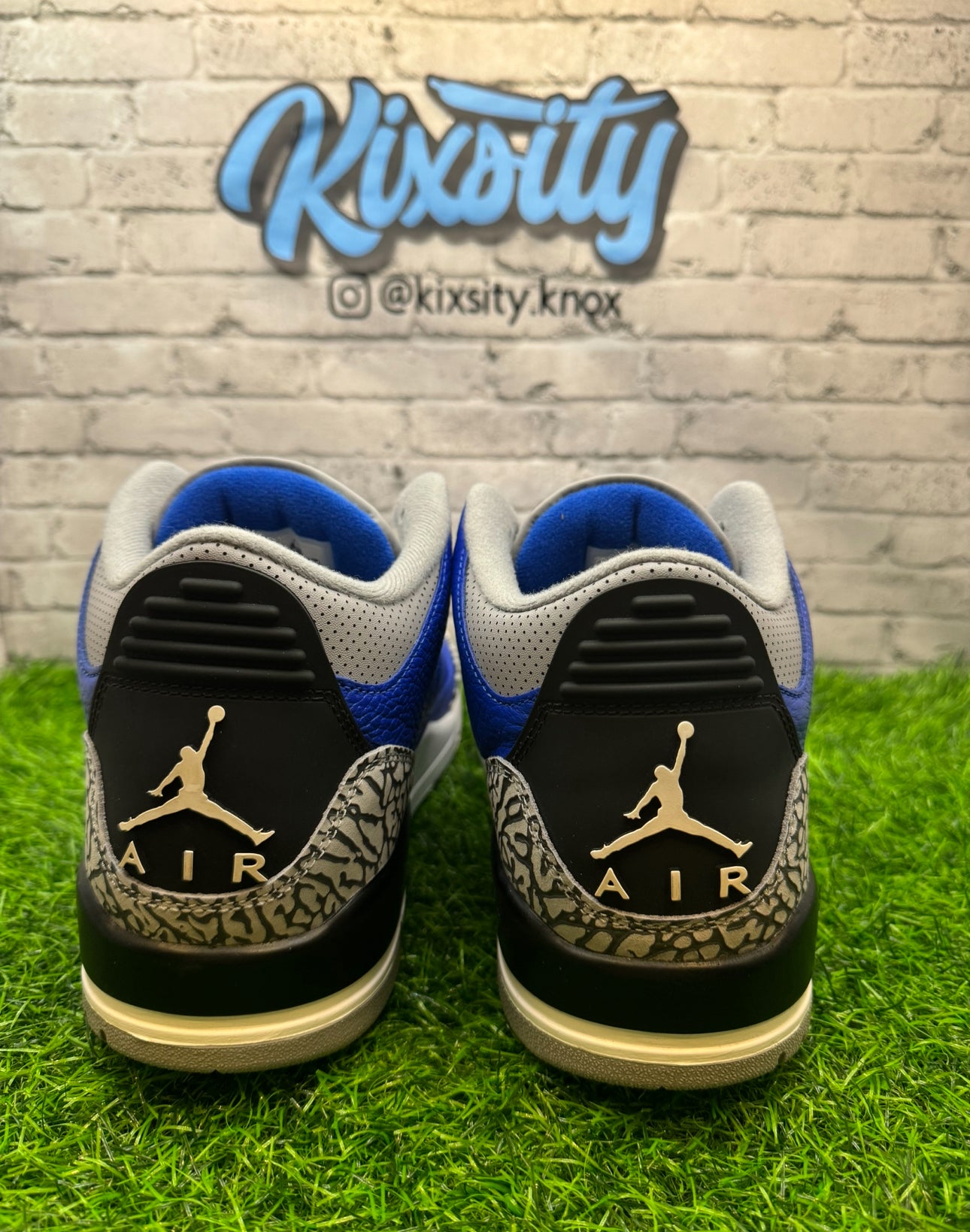 Jordan 3 Varsity Royal PO 11